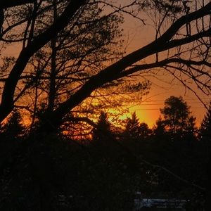 Meet your Posher, Joel